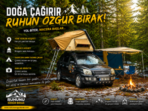 Read more about the article Bolu Sinekli Yaylası Kamp Rehberi 2026 | Doğayla Baş Başa Sessiz Bir Kaçış