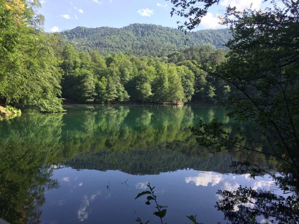 Artvin Borçka karagöl Tabiat Parkı Yolculuğumuz: Ailece Unutamayacağımız Bir Karadeniz Macerası 2