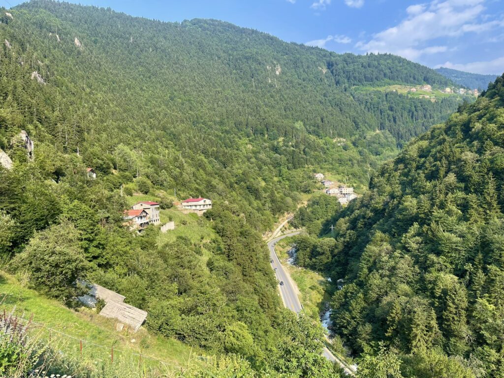 Trabzon Çaykara Taşkıran Köyü: Tarihi, Doğal Zenginlikleri, Biyolojik Çeşitliliği ve Karadeniz’in Saklı Yaşam Hazinesi 3 Trabzon Çaykara Taşkıran Köyü: Tarihi, Doğal Zenginlikleri, Biyolojik Çeşitliliği ve Karadeniz’in Saklı Yaşam Hazinesi 2