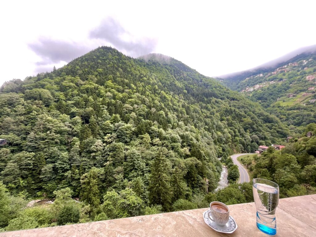 Trabzon Çaykara Taşkıran Köyü: Tarihi, Doğal Zenginlikleri, Biyolojik Çeşitliliği ve Karadeniz’in Saklı Yaşam Hazinesi 7 Trabzon Çaykara Taşkıran Köyü: Tarihi, Doğal Zenginlikleri, Biyolojik Çeşitliliği ve Karadeniz’in Saklı Yaşam Hazinesi 6