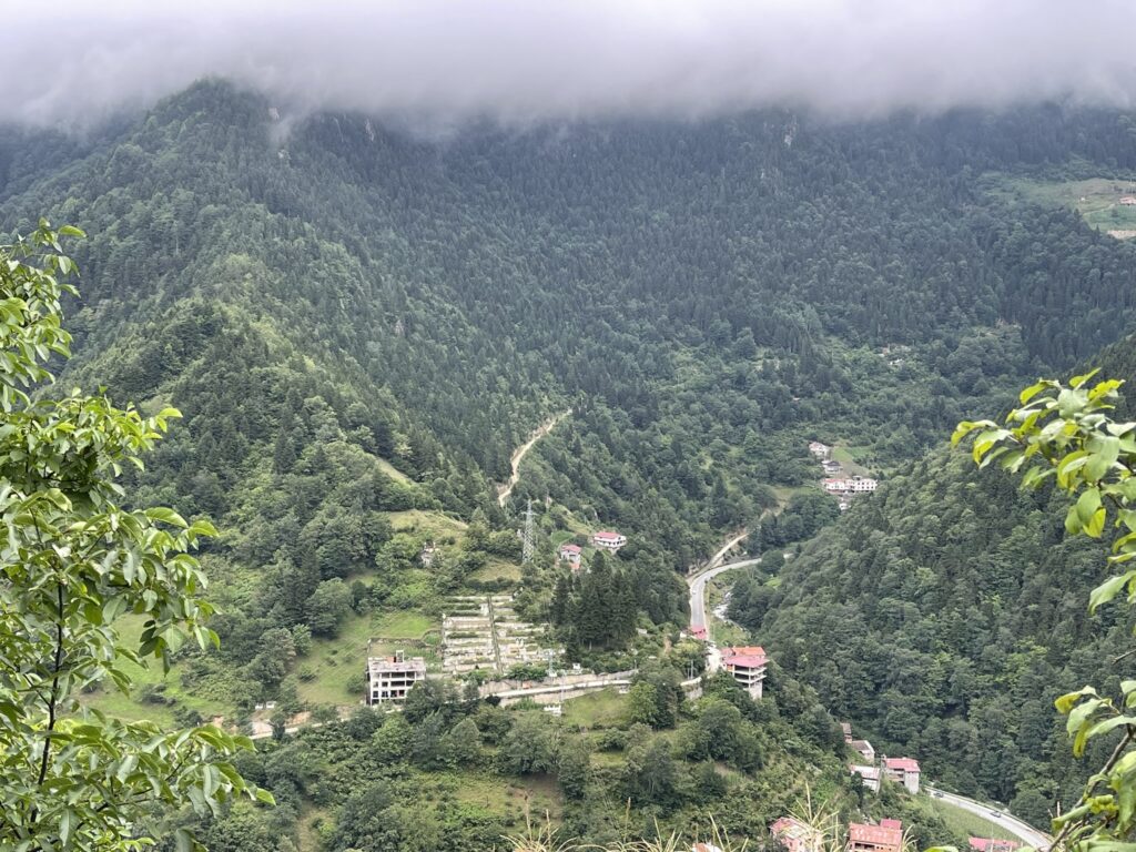 Trabzon Çaykara Taşkıran Köyü: Tarihi, Doğal Zenginlikleri, Biyolojik Çeşitliliği ve Karadeniz’in Saklı Yaşam Hazinesi 9 Trabzon Çaykara Taşkıran Köyü: Tarihi, Doğal Zenginlikleri, Biyolojik Çeşitliliği ve Karadeniz’in Saklı Yaşam Hazinesi 8