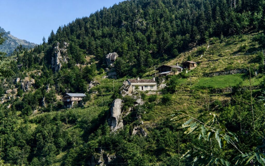 Trabzon Çaykara Taşkıran Köyü: Tarihi, Doğal Zenginlikleri, Biyolojik Çeşitliliği ve Karadeniz’in Saklı Yaşam Hazinesi 11 Trabzon Çaykara Taşkıran Köyü: Tarihi, Doğal Zenginlikleri, Biyolojik Çeşitliliği ve Karadeniz’in Saklı Yaşam Hazinesi 10
