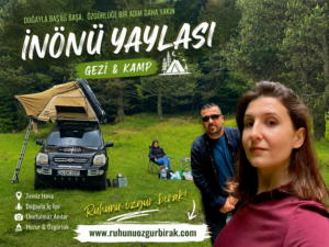 Read more about the article Kalabalıktan Kaçıp Doğaya Sığındığımız Gün: İnönü Yaylası ve Çilekli Köyü Gezimiz