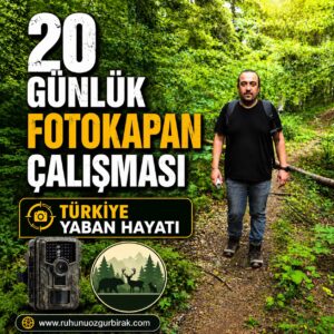 Read more about the article 5 Foto kapan, 20 Gün ve Sayısız Yaban Hayatı Hikâyesi